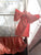 Coral and White | Ruffled Crib Bedding Set